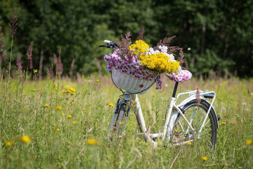 bicycle, summer, basket-2553927.jpg